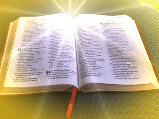 oi meus amigos sou uma pessoa bem extrovertido e sou bem alegre meu livro favorito é a biblia