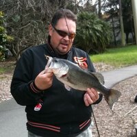 Mike LeBoy (@mike_leboy) 's Twitter Profile