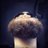 jhaas06's profile image