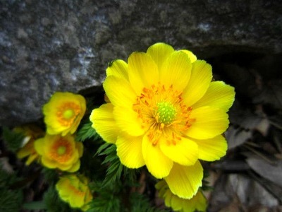 jane7942's profile picture. 