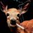 dostrestrucoss2's profile image