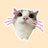 Nhuwdam's profile image