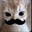 games_ande79656's profile image