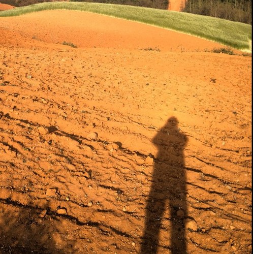 euphorcn's profile picture. 