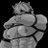 THXW0LFUCK27's profile image