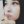 piee (@nopiiee__) profile picture