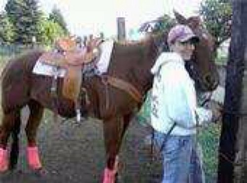 vmdraggoo's profile picture. I love to barrel race