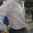 yvamola's profile image