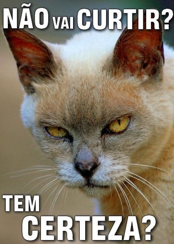 SoydlNorte's profile picture. No puede uno esperar nada de un gobierno que no supo para qué servía un cubrebocas 😷