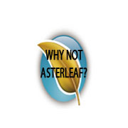 Technical Support Lead for Asterleaf