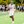 Manny Jjuuko (@MannyJjuuko) profile picture