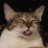 elmandy_c137's profile image