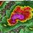 TornadoUpdates's profile image