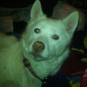 kathy tuthill - @kathytuthill1 - Twitter