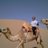 AkramFTbaishat's profile image