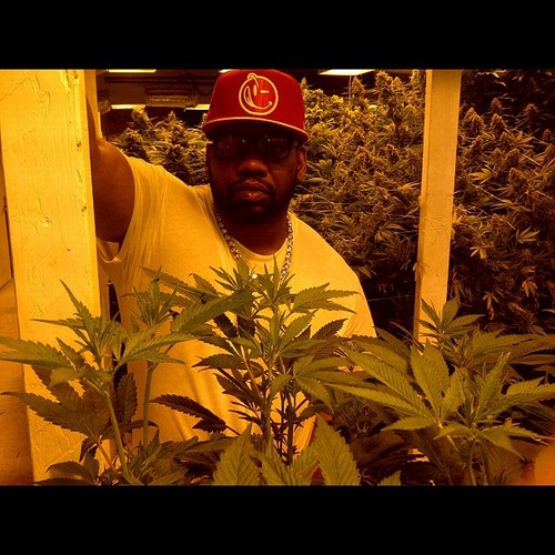 Posting of daily hip hop videos and tracks.