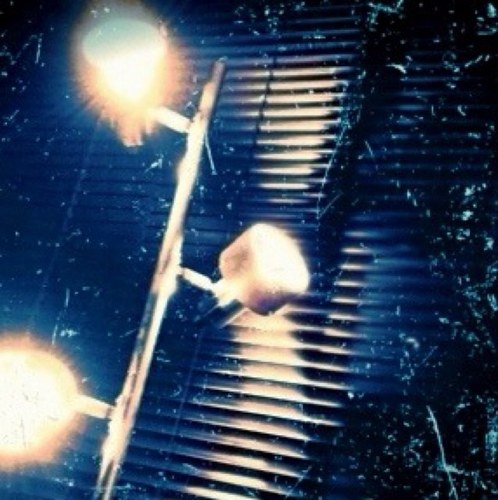 iwasaki1215's profile picture. What doesn’t kill you makes you stronger.