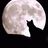 Arucarudo's profile image