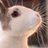 YUK4883's profile image