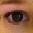 shaejarvis's profile image