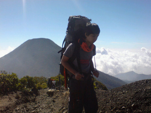 devid812's profile picture. 