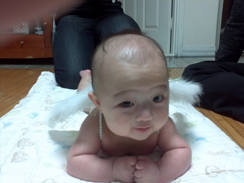 vimful's profile picture. A man can be destroyed but not defeated -The Old Man and The sea-