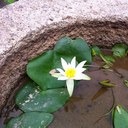 홍영신 - @young0shin - Twitter