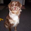 Stew Hall - @stew_hall - Twitter