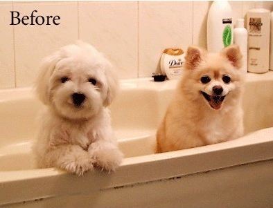 sulmisung's profile picture. 동물친구들 ㅎㅎ