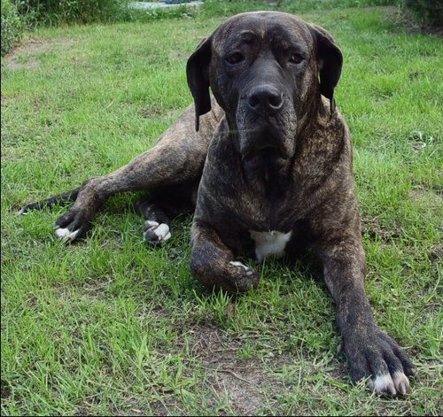 H2oclinicLibor's profile picture. 