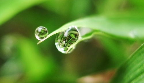 ZuivereStroming's profile picture. 