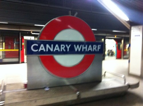 todwarho's profile picture. 