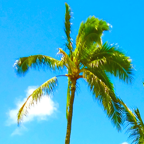 bydhsb7's profile picture. 