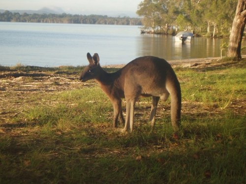 alchemyjb's profile picture. 