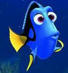 macmaite9's profile picture. 