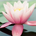 Joy Avery-Wright - @JoysJoy - Twitter