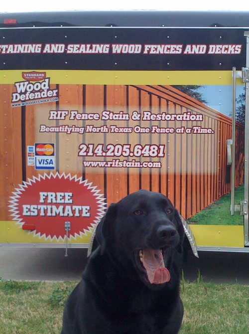 Premier Fence Staining, Sealing & Restoration Experts. Fence Staining : Frisco | Little Elm | Plano | Dallas | Lewisville | Flower Mound | Denton