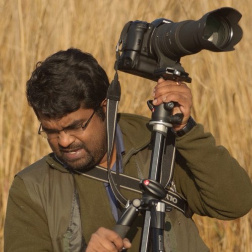 subrus's profile picture. Communications consultant, Digital animal, Traveller, Animal Activist, LGBTQI Supporter, Anti-racist, Anti-Casteist,Vegan, Friend & HUMAN. Working @ProVeg🌱