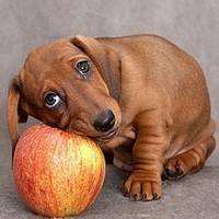 PrikolWorld's profile picture. Этот прикольный мир - информационно-развлекательный портал