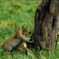 진봉스님 (@wjstk0) 's Twitter Profile