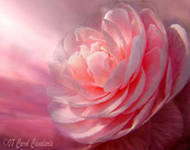 78659k1b's profile picture. 