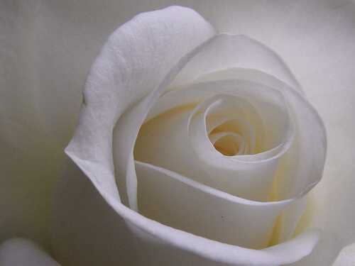 Aabera2's profile picture. 