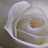 Aabera2's profile image