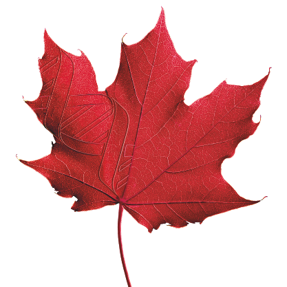 BIOTECanadaNBW's profile picture. National Biotech Week was on Sept. 17-24.  Hashtag was #NBW2010.  Check out photos & videos at http://t.co/EC2o1kT3Ep