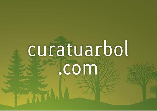 Curatuarbol.com le ofrece un tratamiento de inyecciones al tronco de los arboles, para tratar parasitaciones y otras patologías de forma sencilla y efectiva.