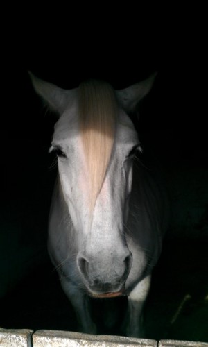 Caszrider's profile picture. Data analysist by trade crafter by nature.