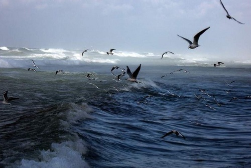 malikahalharthi's profile picture. اللهم لاتجعلنا من اللذين ظل سعيهم في الحياة الدنيا وهم يحسبون أنهم يحسنون صنعاً