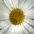 impresscrafts's profile image