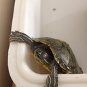 3beesa Al Monroe - @3beesaalmonroe - Twitter