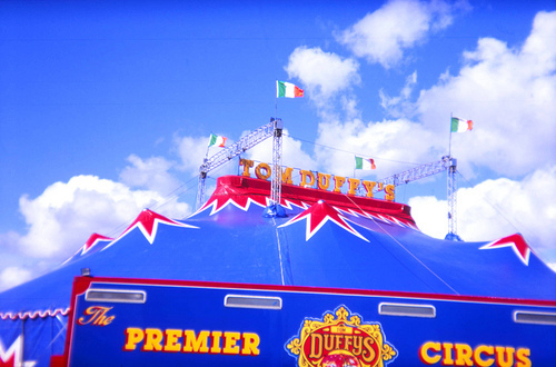 duffyscirque's profile picture. 